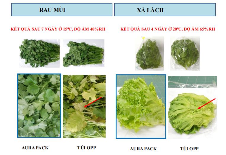 túi Bảo quản nông sản sau thu hoạch