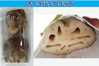 túi Bảo quản nông sản sau thu hoạch