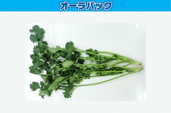 túi Bảo quản nông sản sau thu hoạch