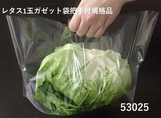 túi Bảo quản nông sản sau thu hoạch