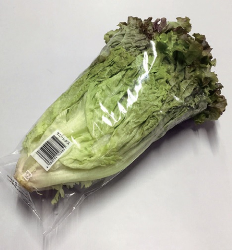 túi Bảo quản nông sản sau thu hoạch