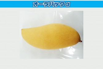 túi Bảo quản nông sản sau thu hoạch