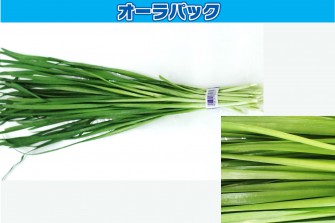 túi Bảo quản nông sản sau thu hoạch