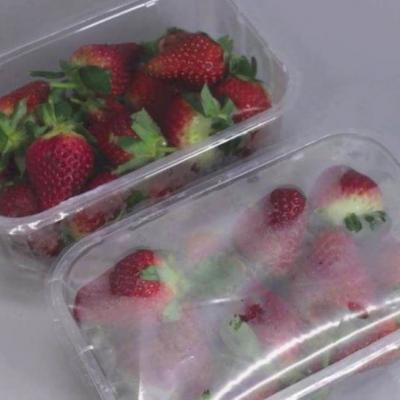 Màng chống đọng sương BOOP