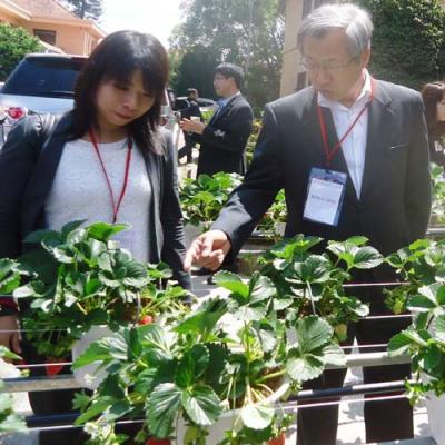 Sức hút đầu tư máy nông nghiệp rất lớn